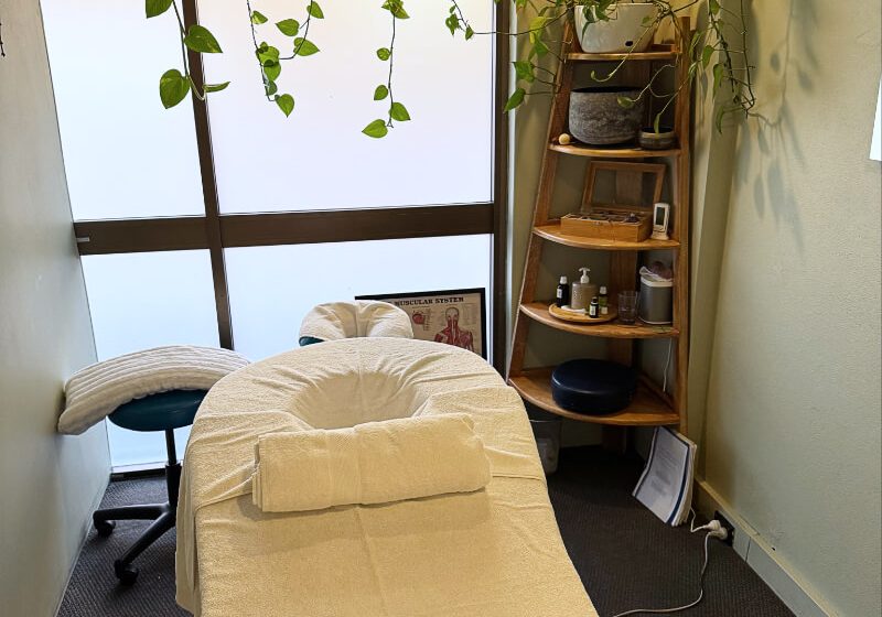 Pregnancy Massage Table